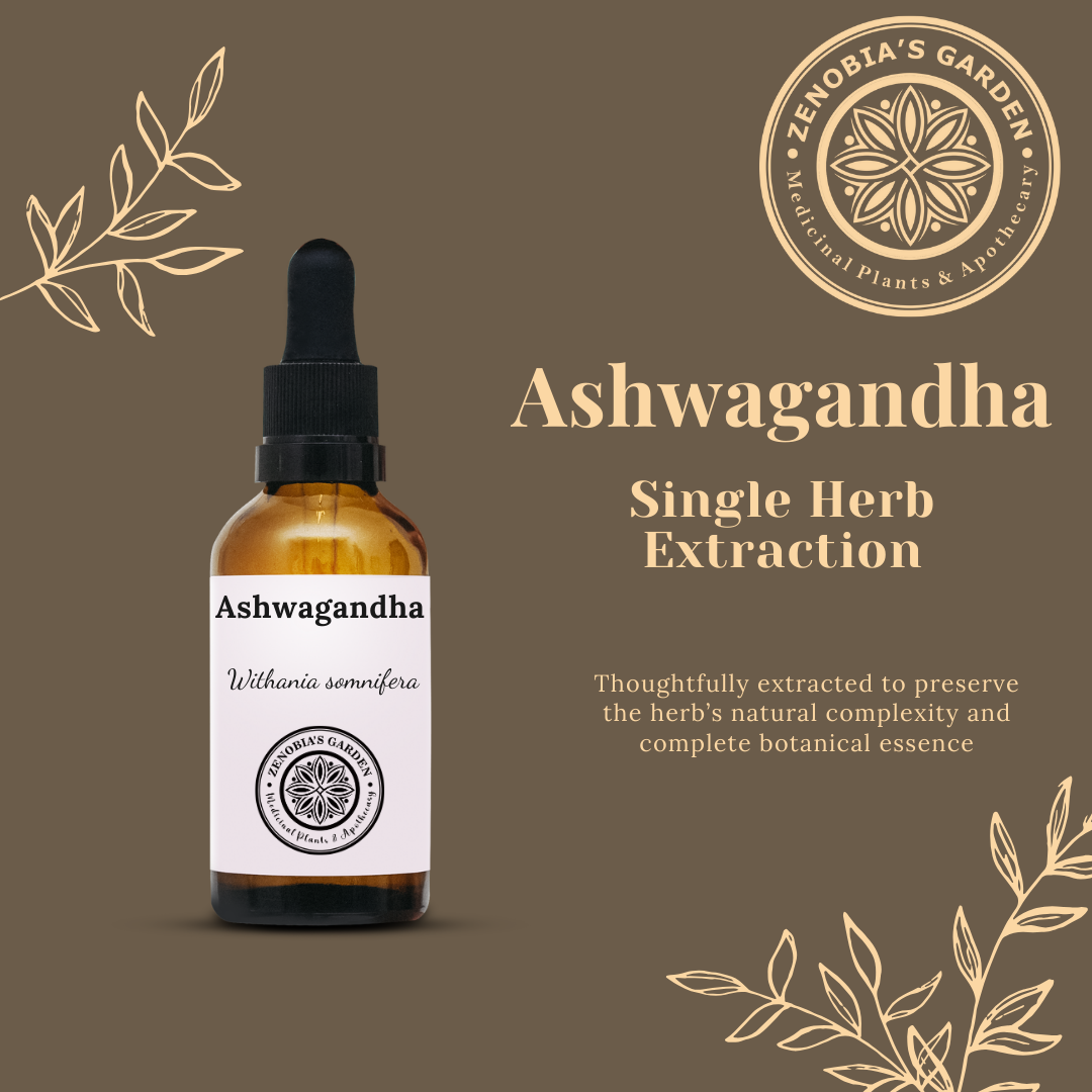 Ashwagandha Tincture, 1 oz bottle
