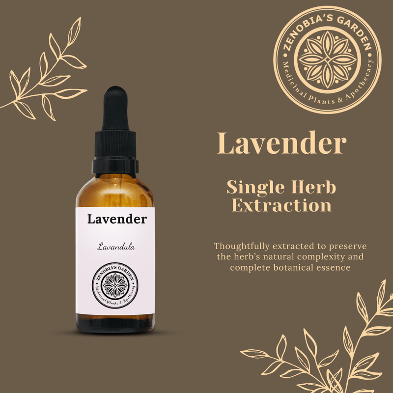Lavender Tincture, 1 oz