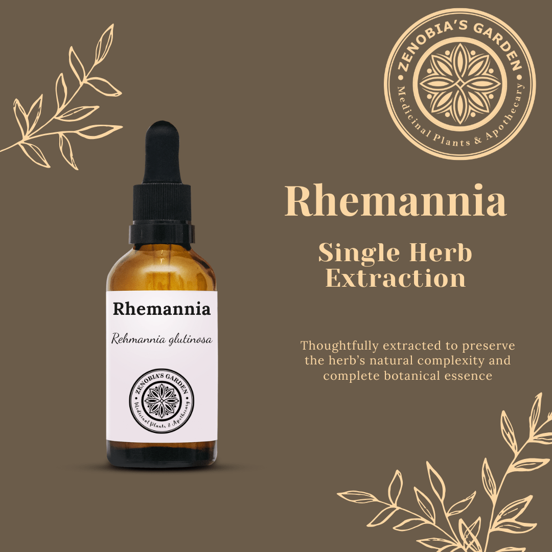Rhemannia Tincture, 1 oz bottle, Made to Order, Single Herb Extract