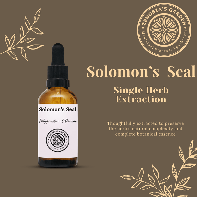 Solomon's Seal Tincture, Single Extract Tincture, 1 oz Glass Bottle, Small batches