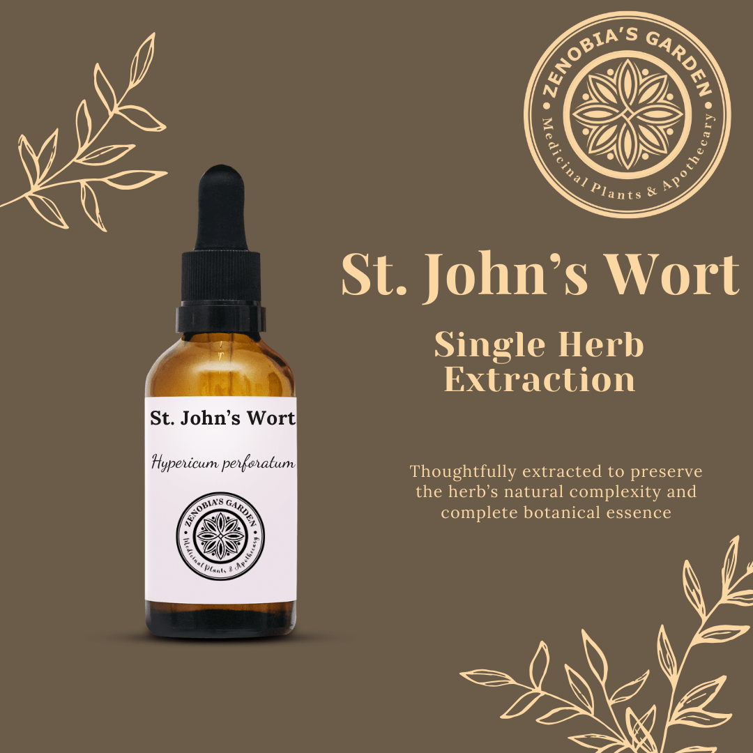 St. John's Wort Tincture, 1 oz bottle