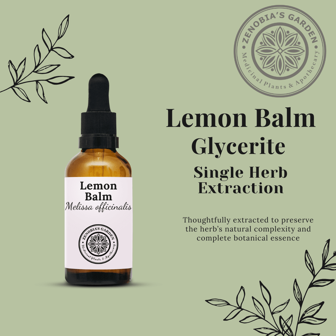 Lemon Balm Glycerite