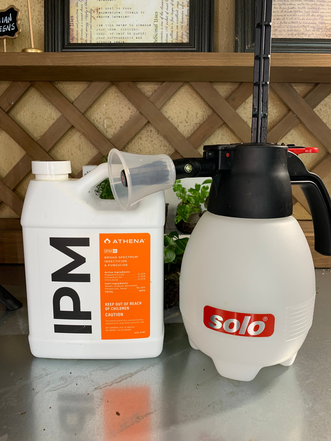 Athena IPM and a Solo sprayer