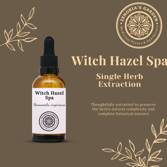 Witch Hazel (Spa) Tincture