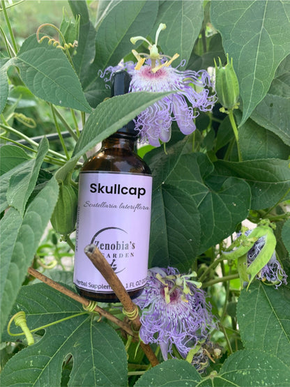 Skullcap Tincture, 1 oz bottle