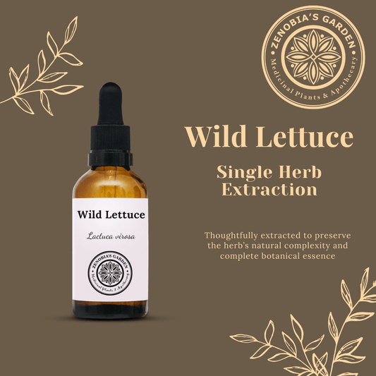 Wild Lettuce Tincture