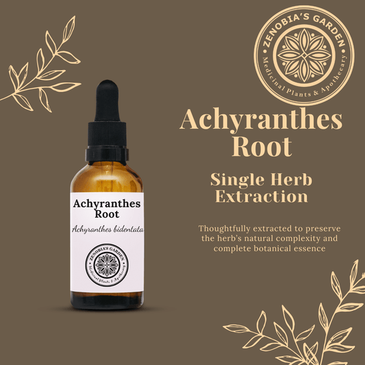 Achyranthes Root, Single Herb Extract Tincture, 1 oz glass bottle, Natural Local Sales Only