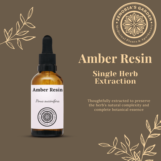 Amber Resin Tincture, 1 oz Glass bottle, Single Herb Extract Local Sales Only