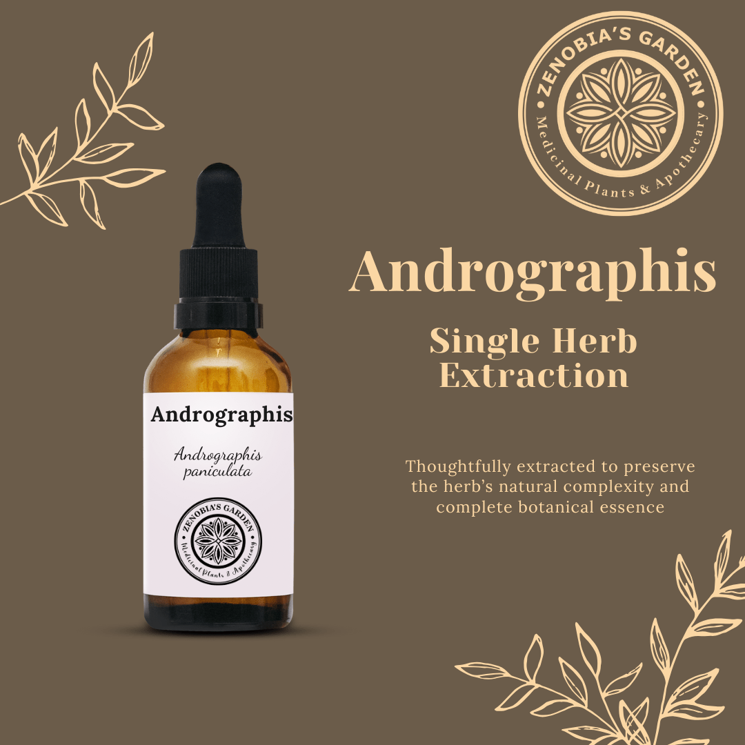 Andrographis Tincture, 1 oz
