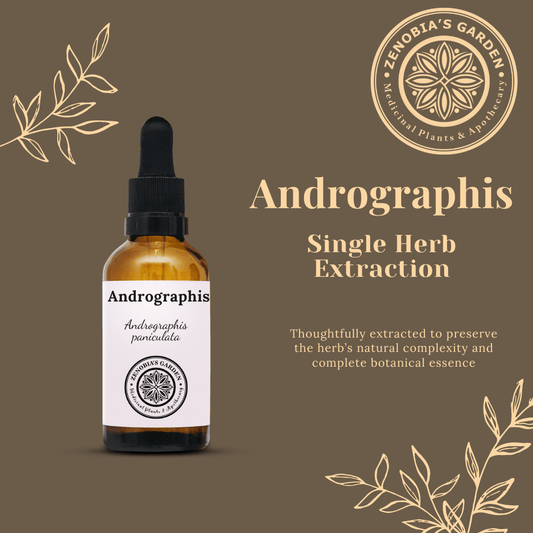 Andrographis Tincture, 1 oz