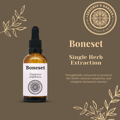Boneset Tincture, 1 oz bottle