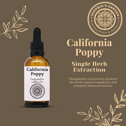 California Poppy Tincture, 1 oz Glass Bottle, Made to order Local Sales Only