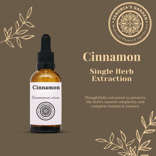 Cinnamon Tincture, 1 oz Glass Bottle, Single Herbal Extract, Small batches (Local Only)