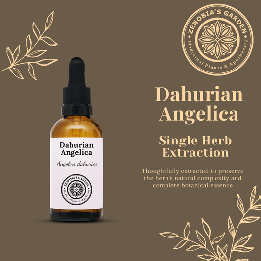 Dahurian Angelica Tincture, 1 oz