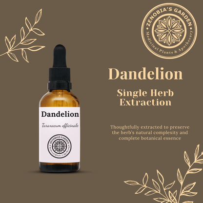 Dandelion Tincture, 1 oz bottle