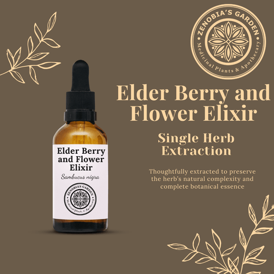 Elder Berry and Flower Elixir, 1 oz Glass Bottle, Made to Order (Local Only)