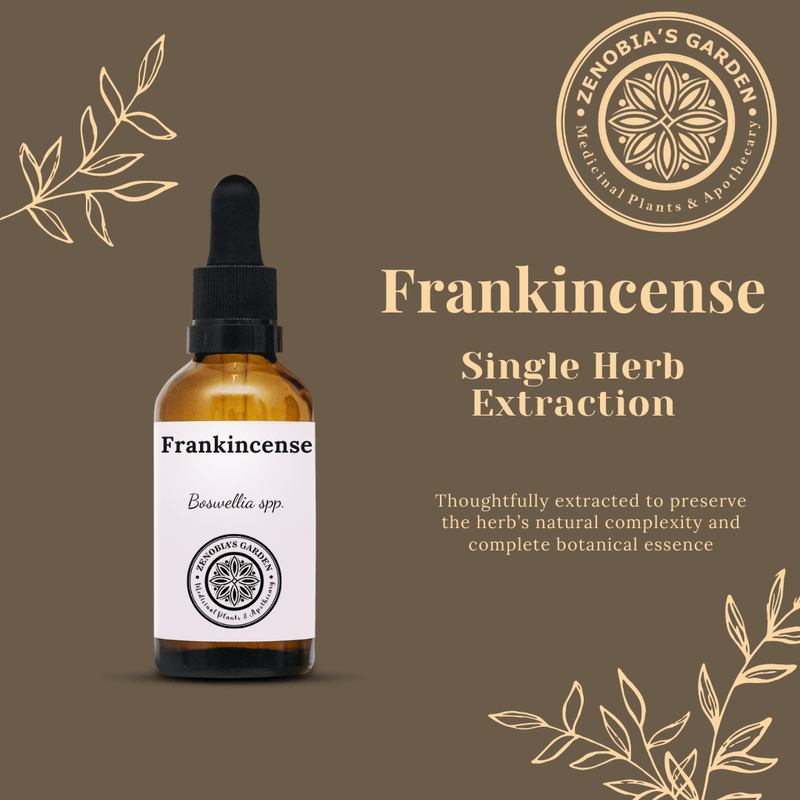 Frankincense Tincture, 1 oz Glass Bottle, Single Herb Extract