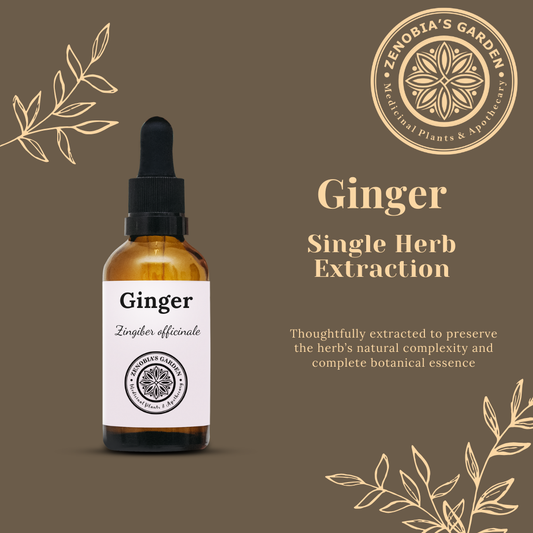 Ginger Tincture, 1 oz bottle