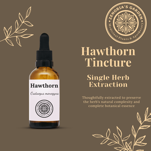 Hawthorn Tincture, 1 oz bottle