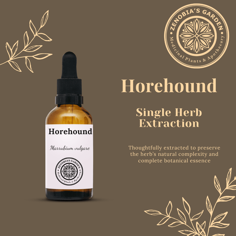 Horehound Tincture, 1 oz