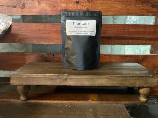 Plantain Leaf C/S Organic - Local Sales Only