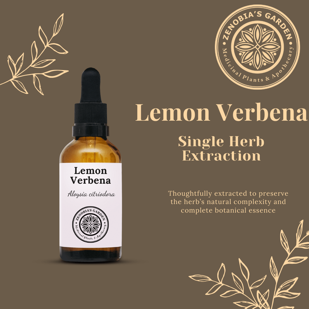 Lemon Verbena, 1 oz Glass Bottle. Handcrafted Small batches, Single Herb Extract (Local Only)