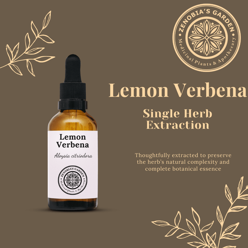 Lemon Verbena, 1 oz Glass Bottle. Handcrafted Small batches, Single Herb Extract