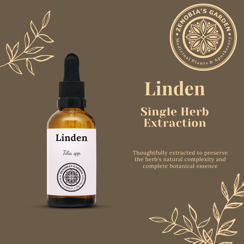 Linden Tincture, 1 oz Glass Bottle, Made to order, Single Herb Extract