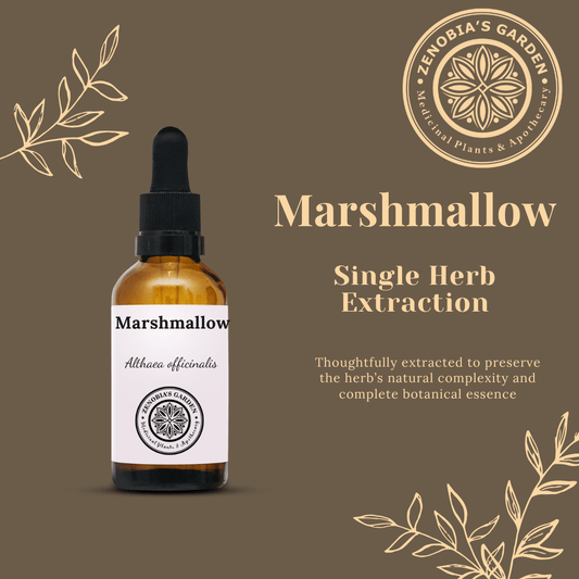 Marshmallow Tincture, 1 oz