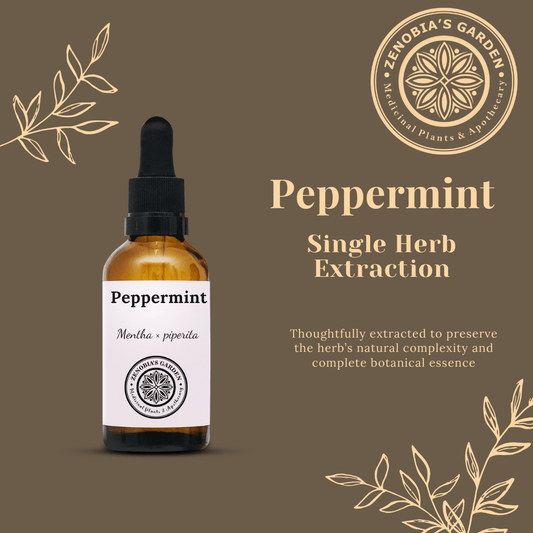 Peppermint Tincture, 1 Oz Glass Bottle, Apothecary Products (Local Only)