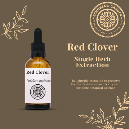 Red Clover Tincture, 1 oz bottle