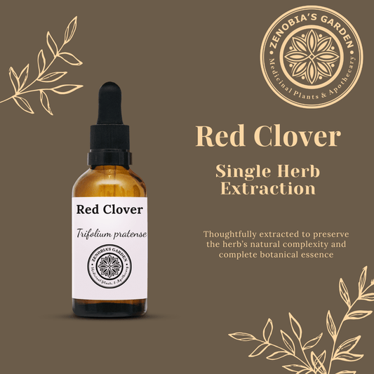 Red Clover Tincture, 1 oz bottle