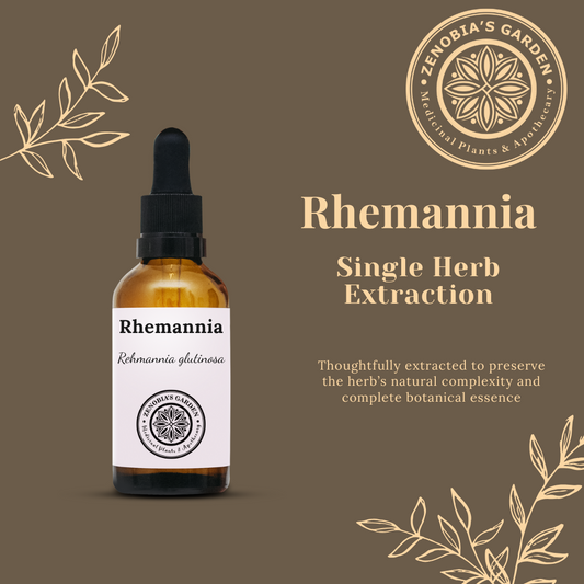 Rhemannia Tincture, 1 oz bottle, Made to Order, Single Herb Extract