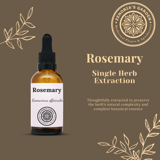 Rosemary Tincture, 1 oz Glass Bottle, Single Herb Extraction, Small Batches (Local Only)