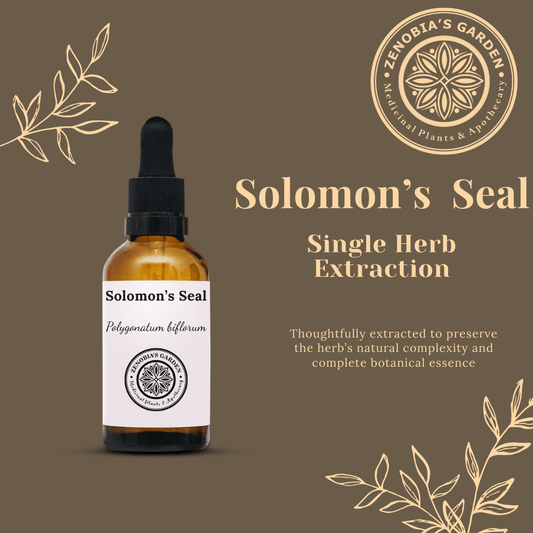 Solomon's Seal Tincture, Single Extract Tincture, 1 oz Glass Bottle, Small batches (Local Only)