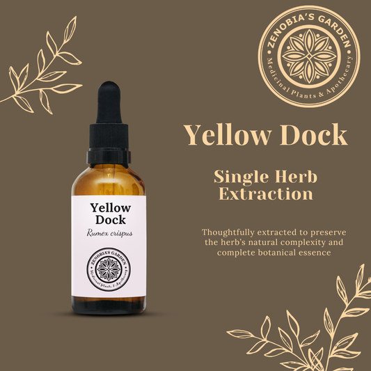 Yellow Dock Tincture