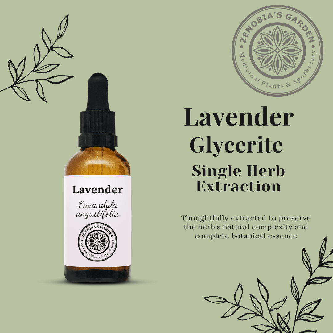 Lavender Glycerite