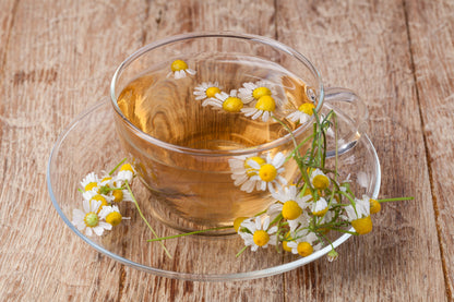 Clear cup of chamomile tea on a wooden surface, saucer edged with petals, promoting chamomile plant for tea gardens