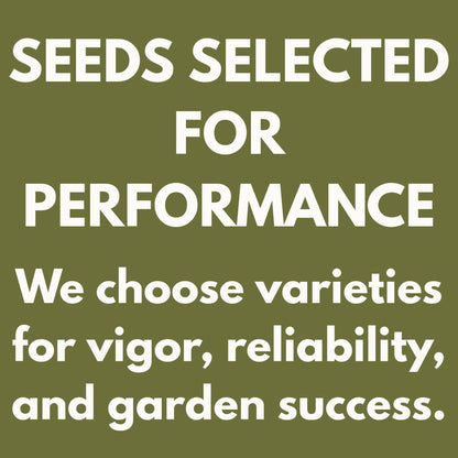Green panel with white text 'Seeds selected for performance', highlights non-GMO dill seedlings and vigor